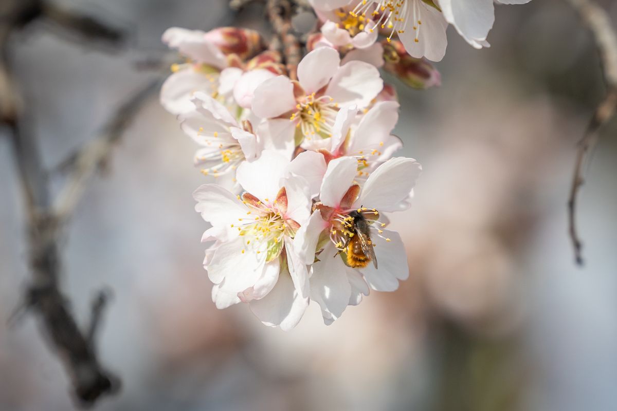tavasz, tavaszi időjárás, hidegfront
