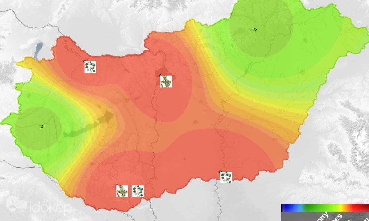 A pollen megtámadta a nagyvárosokat 