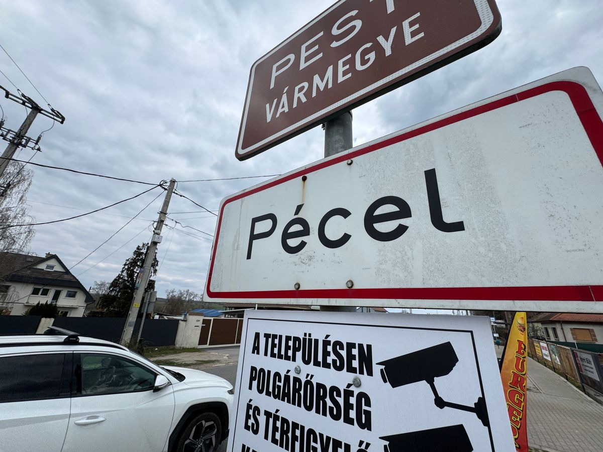 pánik tört ki pécelen