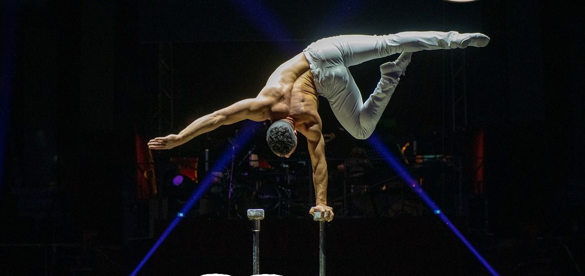 Új artisták jöttek a cirkuszba