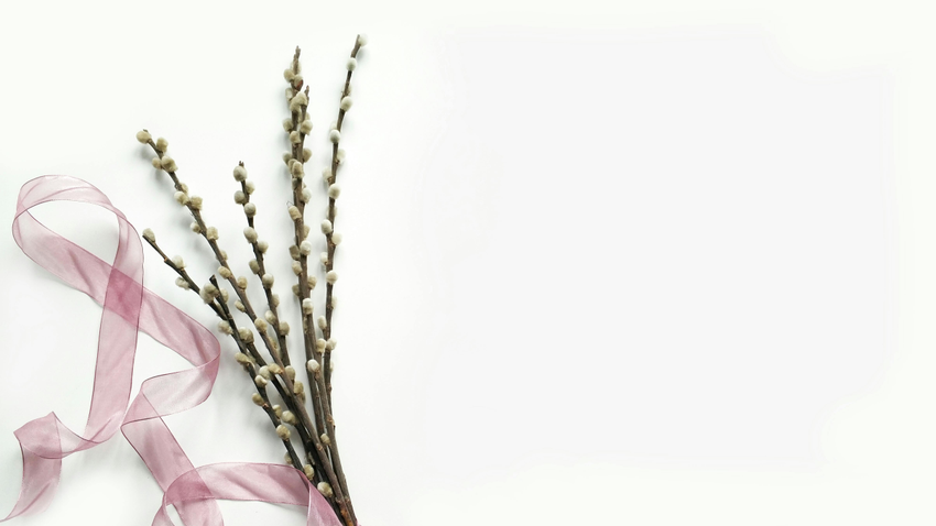 Kvíz kérdést ábrázoló kép.