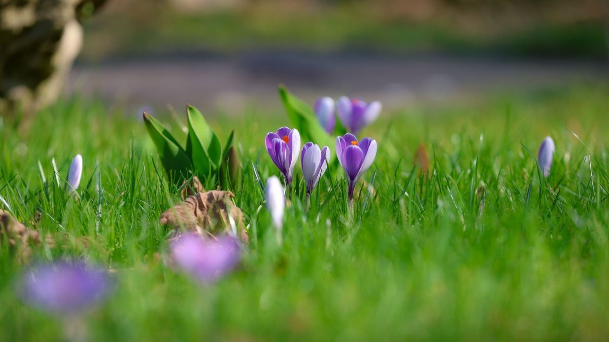 Itt a tavasz, segíthetünk megfigyelni az állatvilágot az MME-nek.