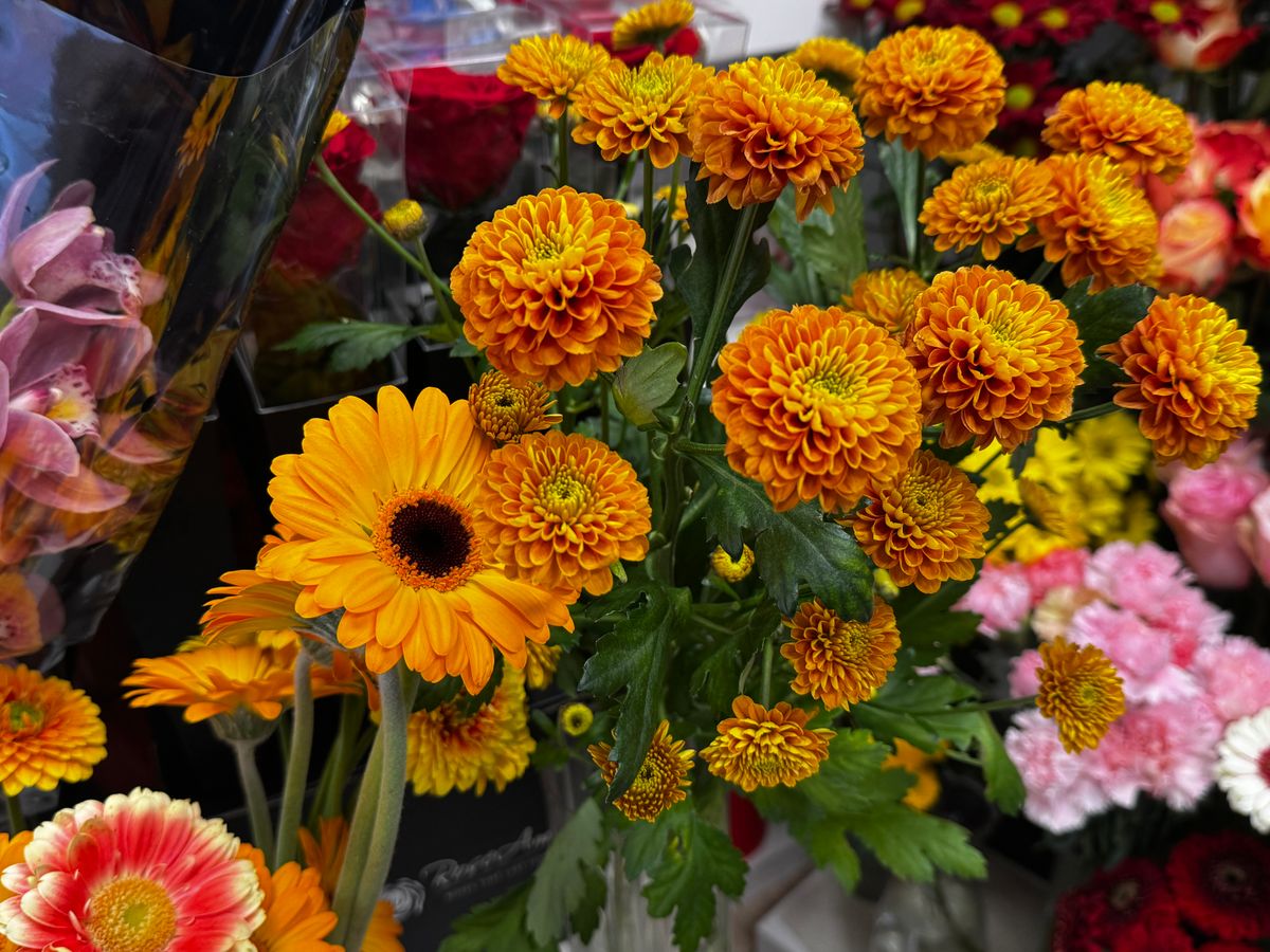 virágüzlet, nőnapi virágok