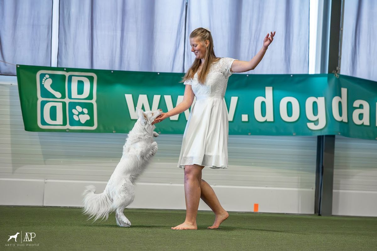 A bajnok Mia és Hanna verseny közben: rengeteg munkájuk van benne, de megérte 