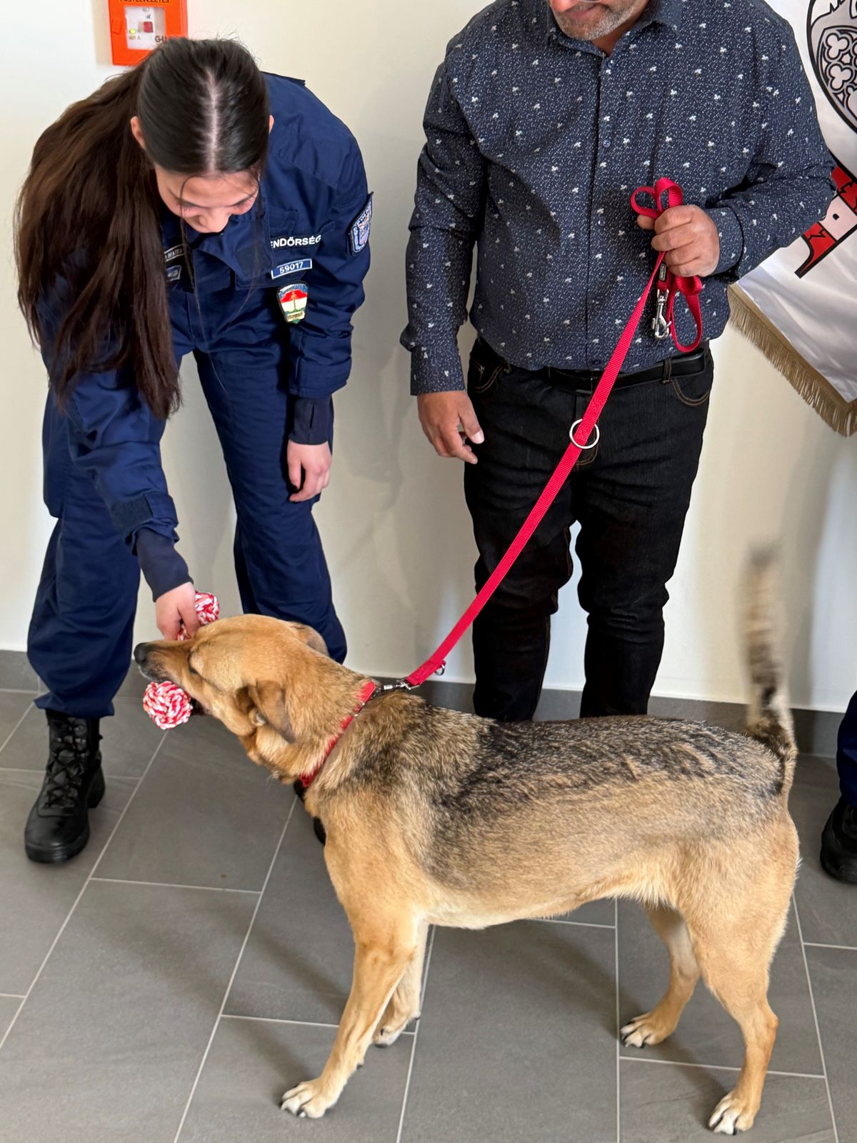 A mentőkutyának köszönhető, hogy gazdája életben maradt