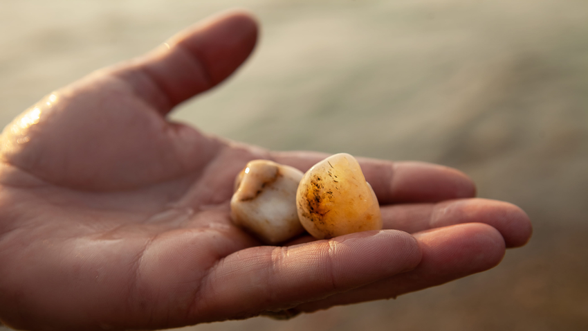 Kvíz kérdést ábrázoló kép.