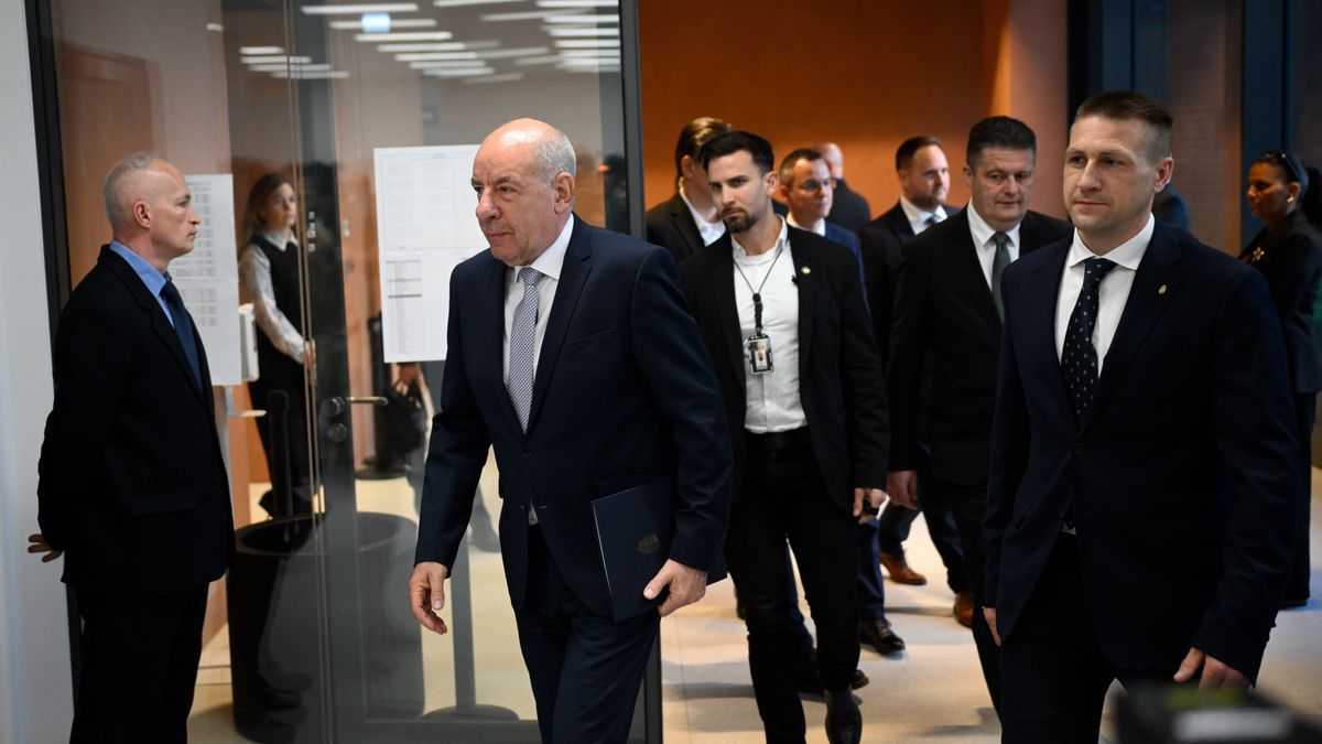 Sulyok Tamás köztársasági elnök