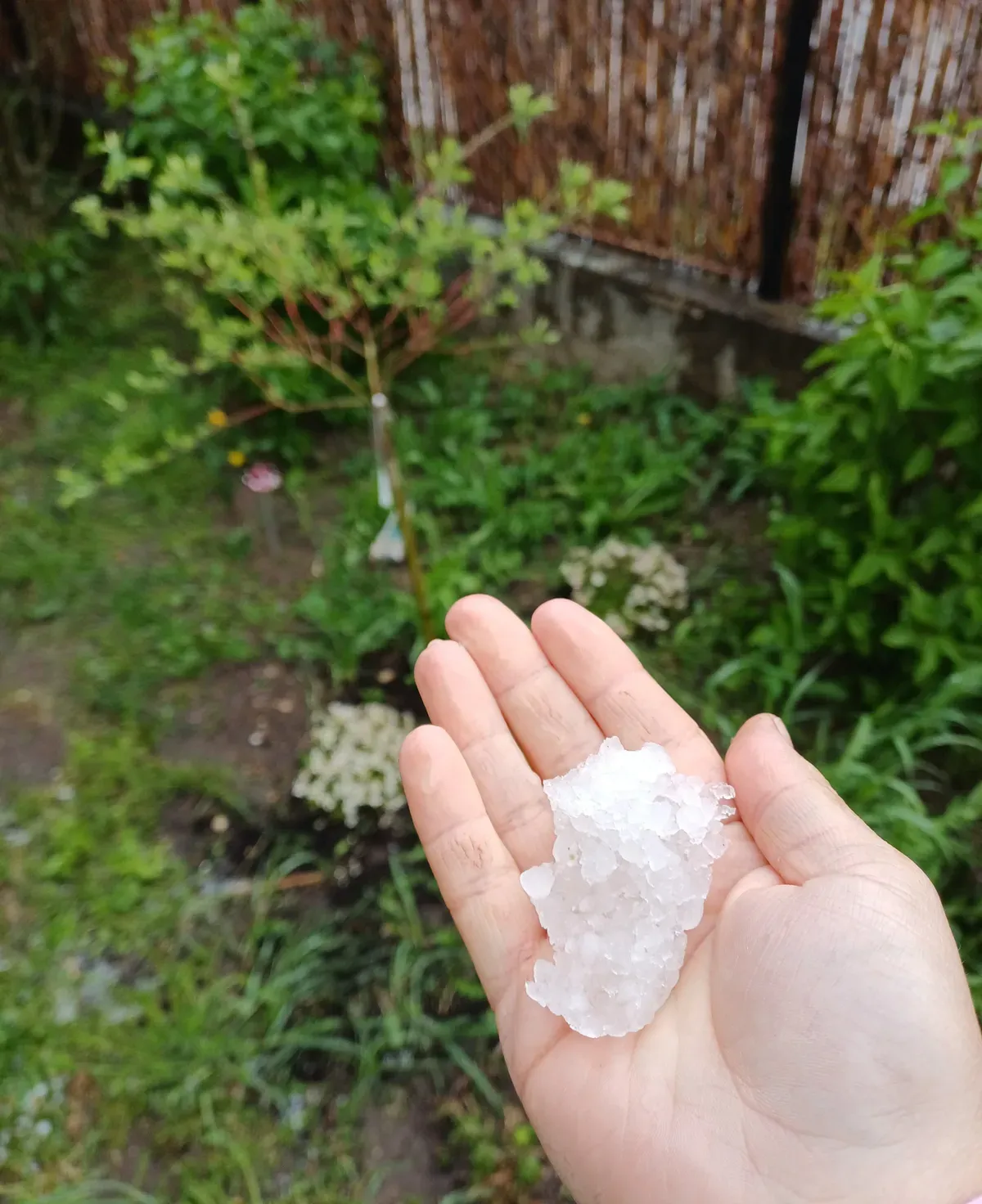 Brutális jégeső borította be a környéket.