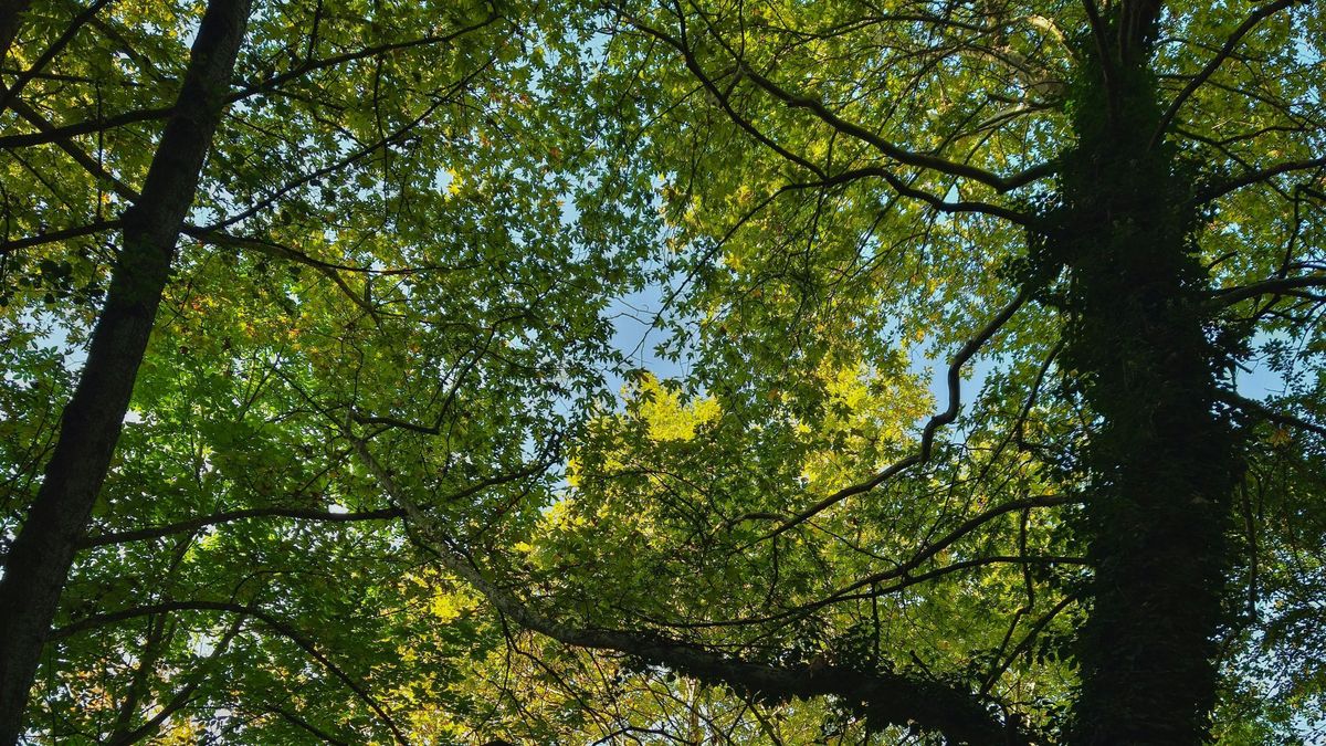 Napos időjárással lep meg minket a hétfő