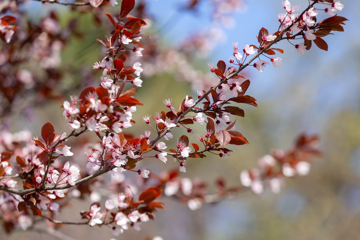 Kellemes idő várható Húsvétra