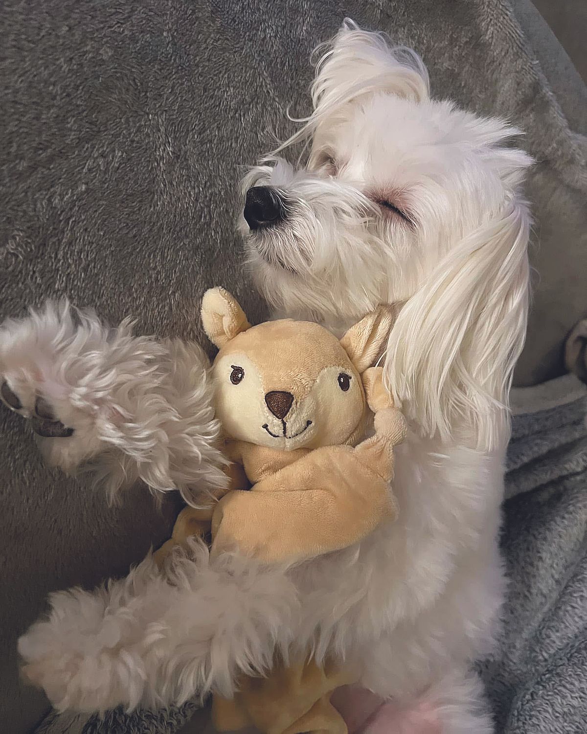 Hot feltöltés
Én és a kedvencem: Danis Elza és Honey: "Igazi drámakirálynő"