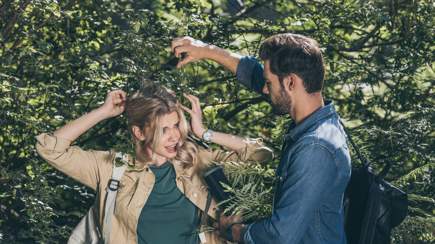 Kvíz kérdést ábrázoló kép.