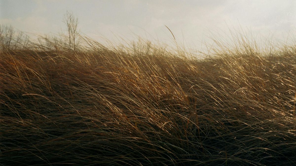 A szeles időjárás miatt még nem tudunk fellélegezni