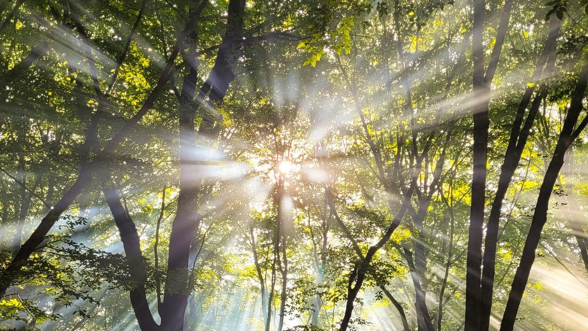 Végre közeledünk: Megérkezik hazánkba a tavaszi időjárás