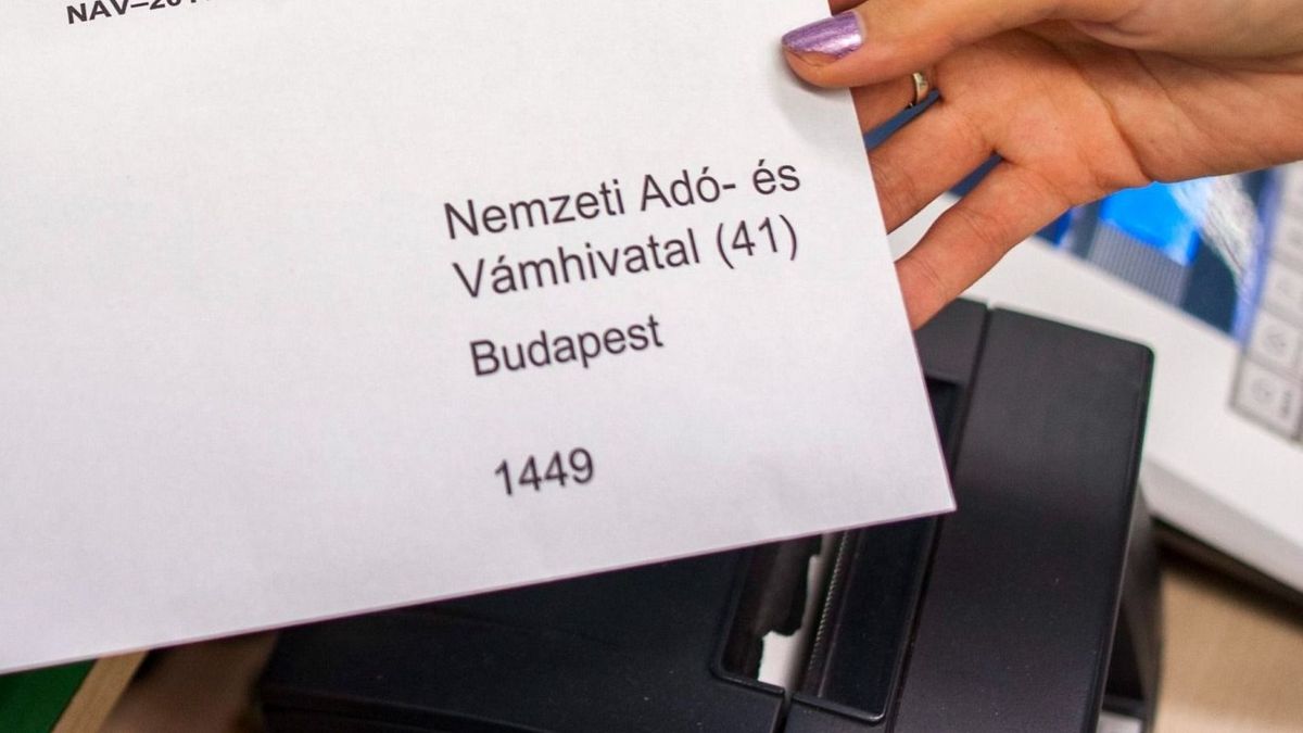 Több százezer adóbevallás kapcsán talált problémát a NAV