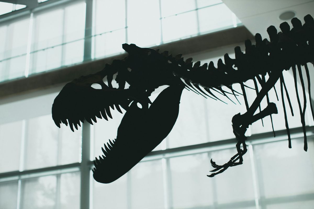T-rex