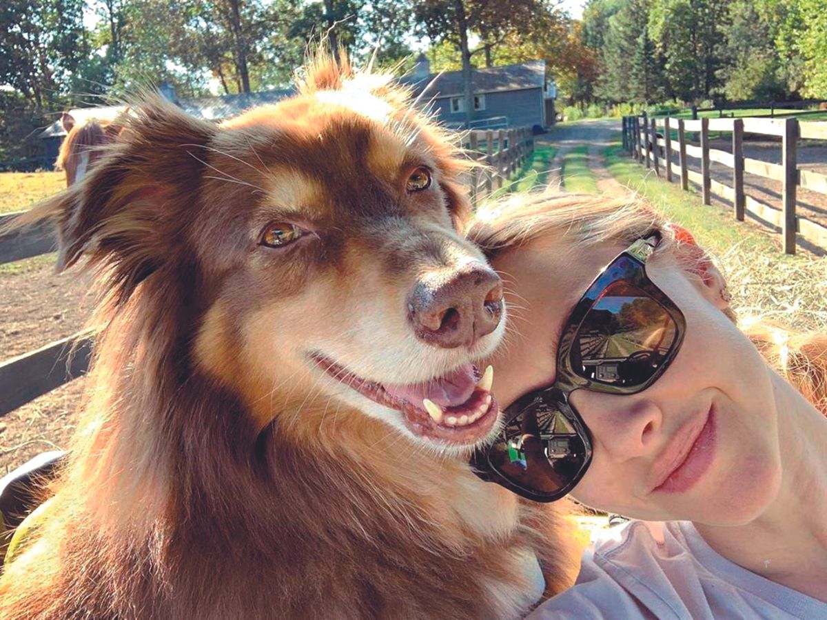 Amanda Seyfried kedvence ausztrál juhászkutya.