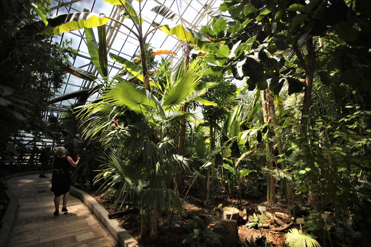 Vácrátóti Arborétum
HZ1_7074

20220723 Vácrátót Vácrátóti Nemzeti Botanikus Kert bemutatása Fotó: Havran Zoltán HZ Magyar Nemzet