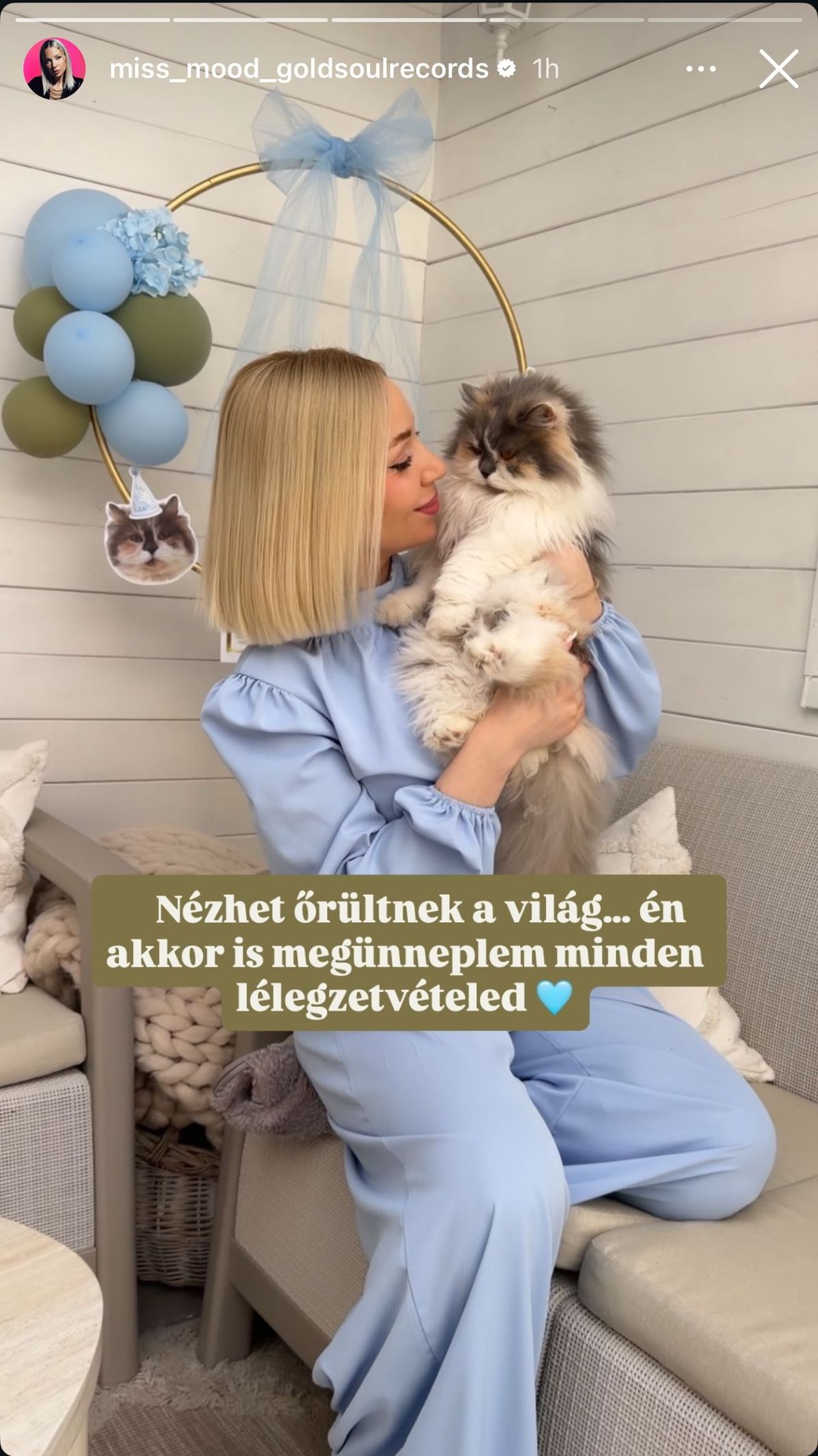 Miss Mood szívében különleges helyet foglal el macskája