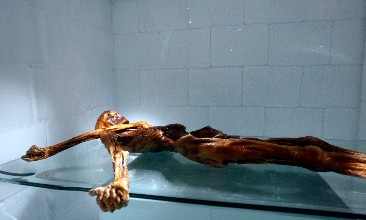 ITALY-MUMMY-ARCHAEOLOGY-HISTORY
Ötzi galéria
